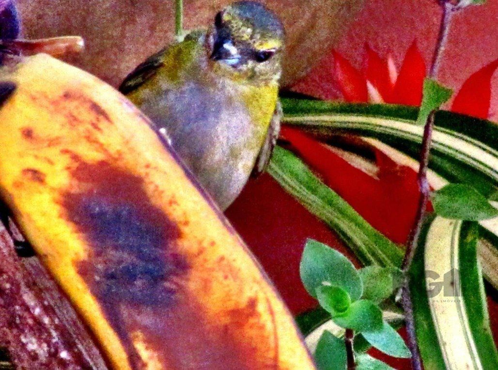 Apartamento, 2 quartos, 118 m² - Foto 29