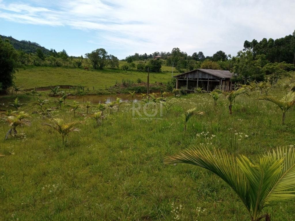 Sítio à venda com 14 quartos, 36841m² - Foto 16