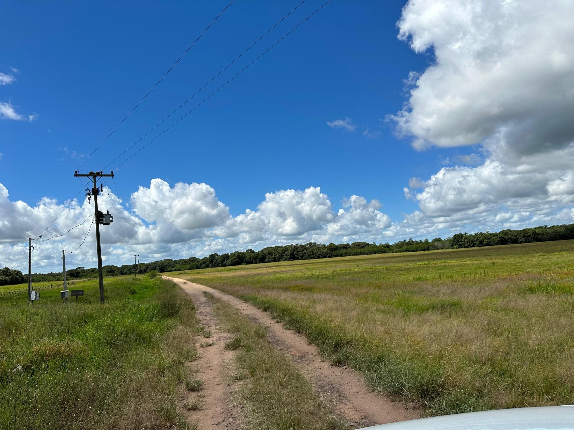 Fazenda à venda com 3 quartos, 500m² - Foto 32