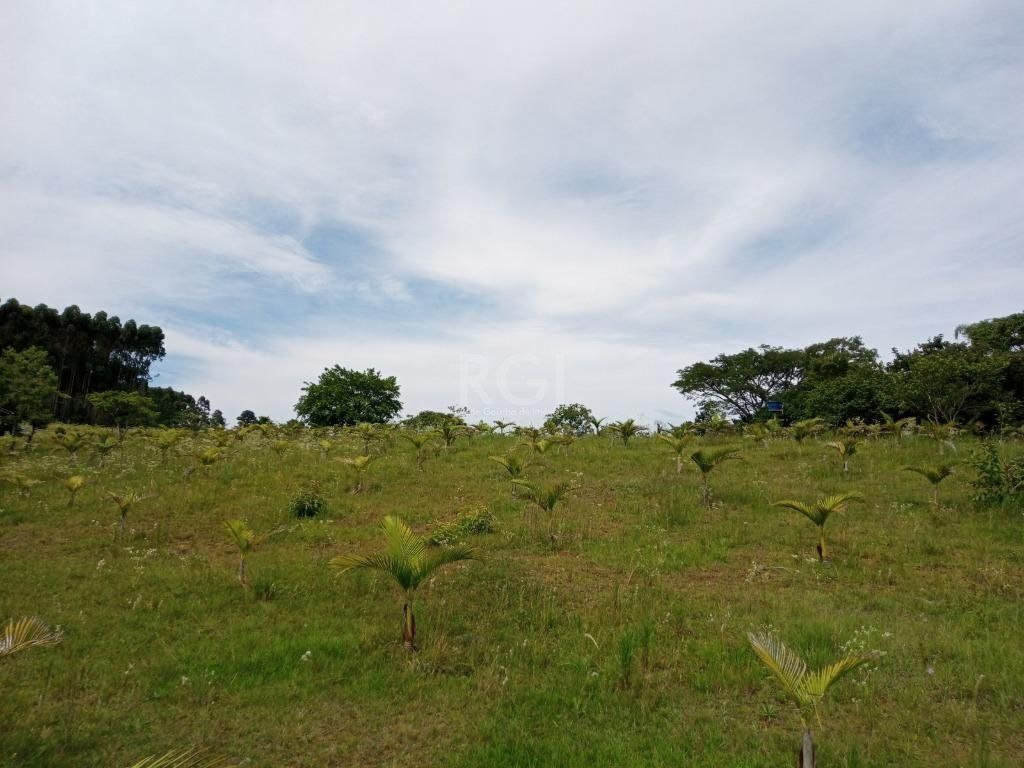 Sítio à venda com 14 quartos, 36841m² - Foto 12