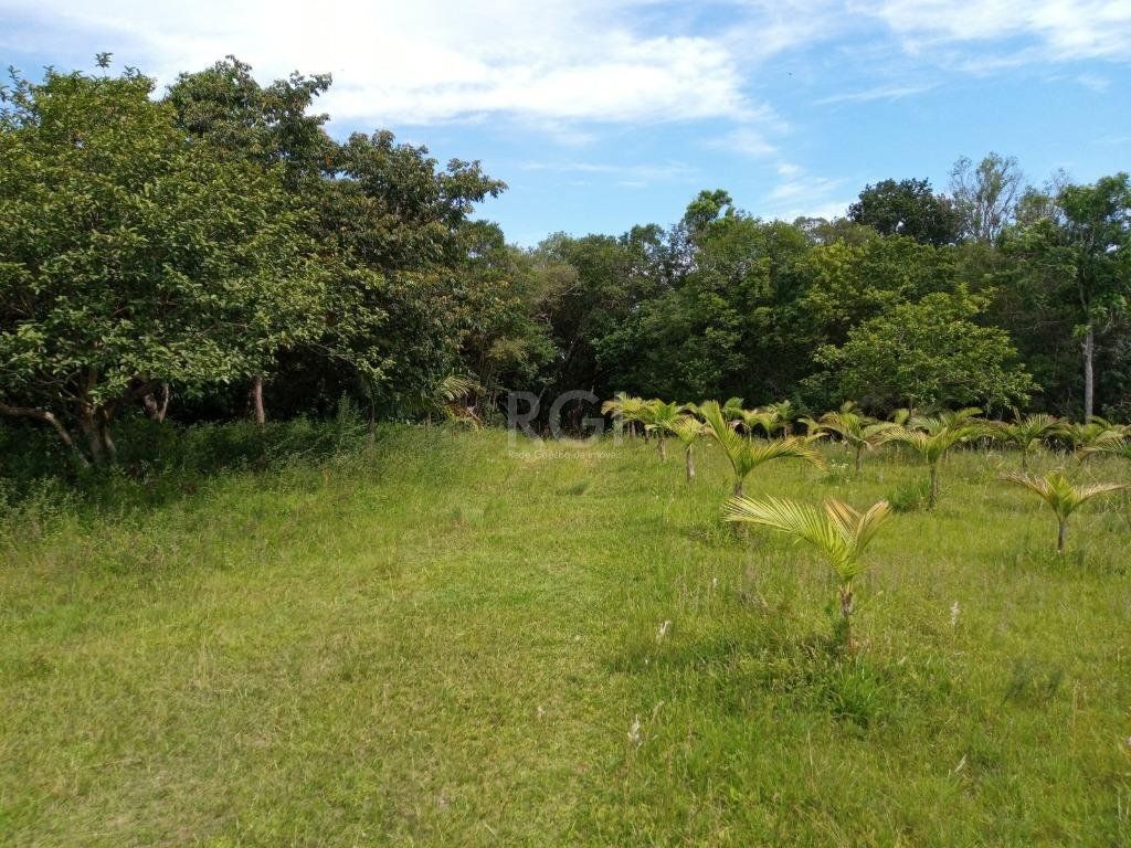 Sítio à venda com 14 quartos, 36841m² - Foto 17