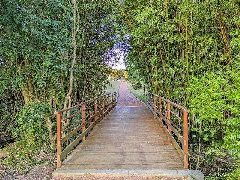 Terreno, 742 m² - Foto 5