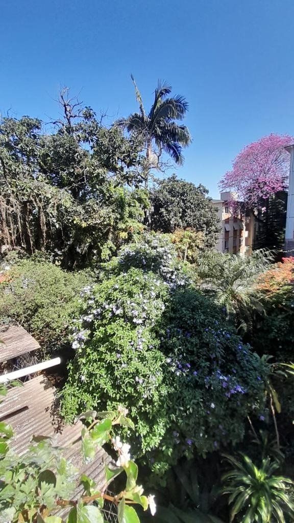 Casa, 6 quartos, 570 m² - Foto 8