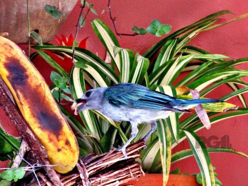 Apartamento, 2 quartos, 118 m² - Foto 27