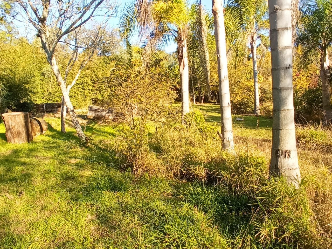 Terreno à venda, 5001m² - Foto 7