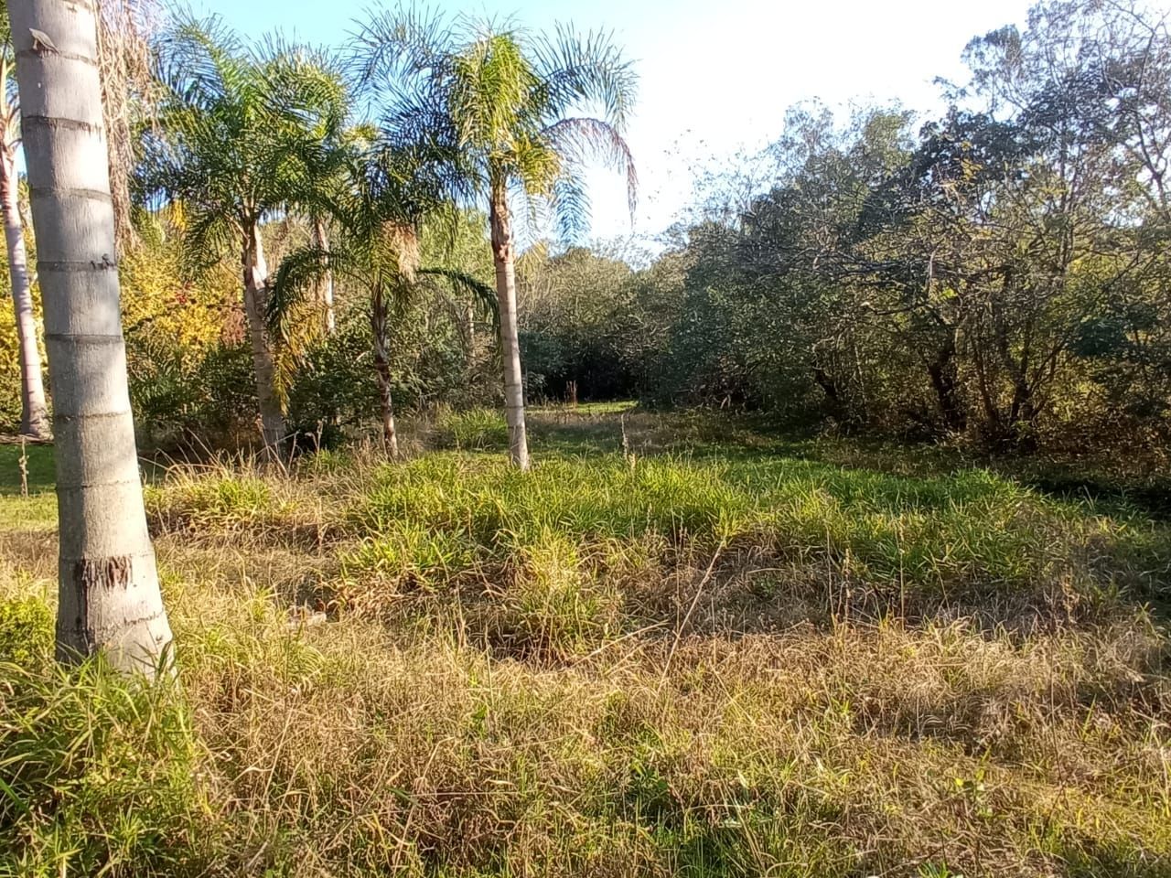 Terreno à venda, 5001m² - Foto 6