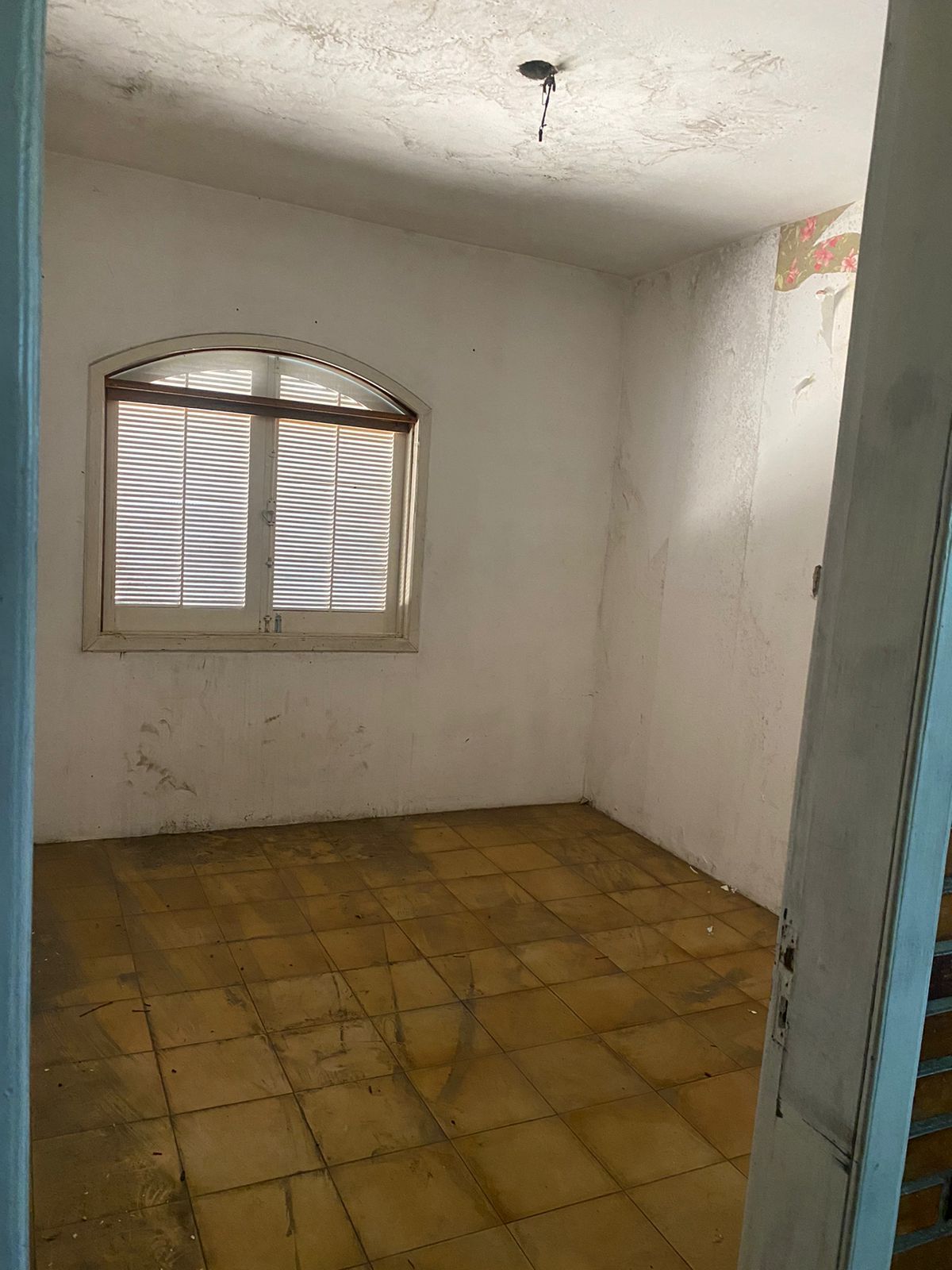 Terreno para Venda - 615m² Bairro Ipanema