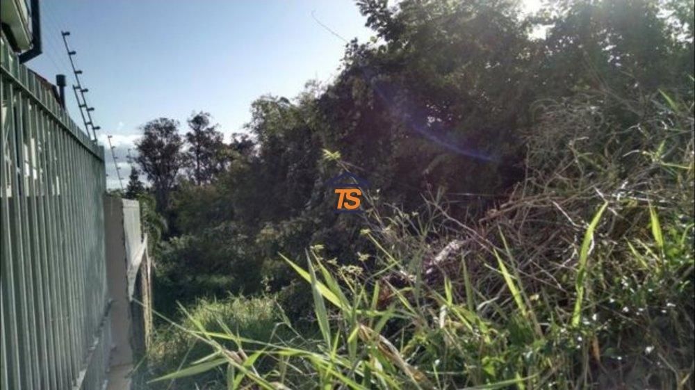 Terreno à venda, 891m² - Foto 3
