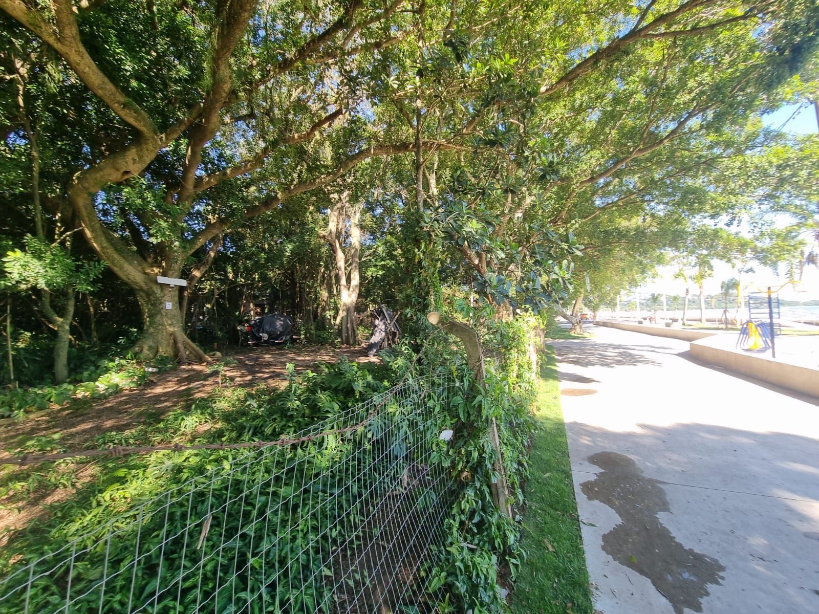 Terreno, 971 m² - Foto 9