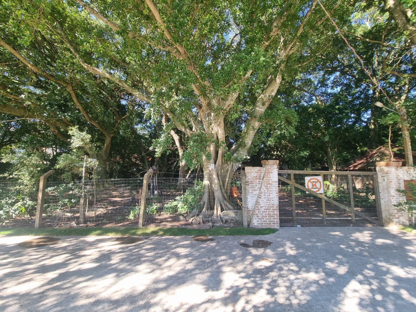 Terreno, 971 m² - Foto 2