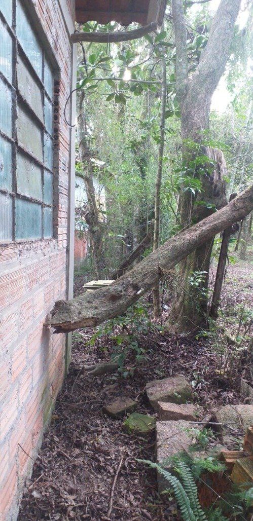 Chácara, 3 quartos, 2400 m² - Foto 15