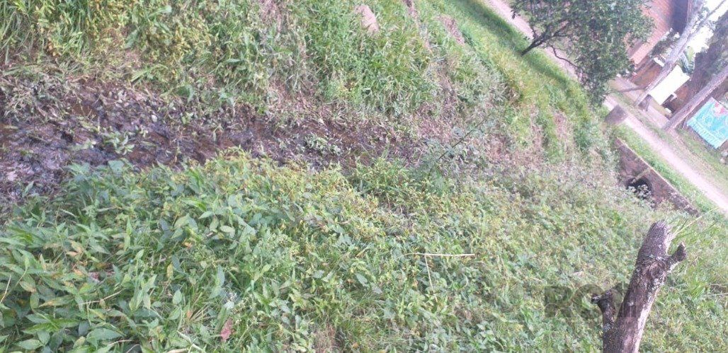 Chácara, 3 quartos, 2400 m² - Foto 28