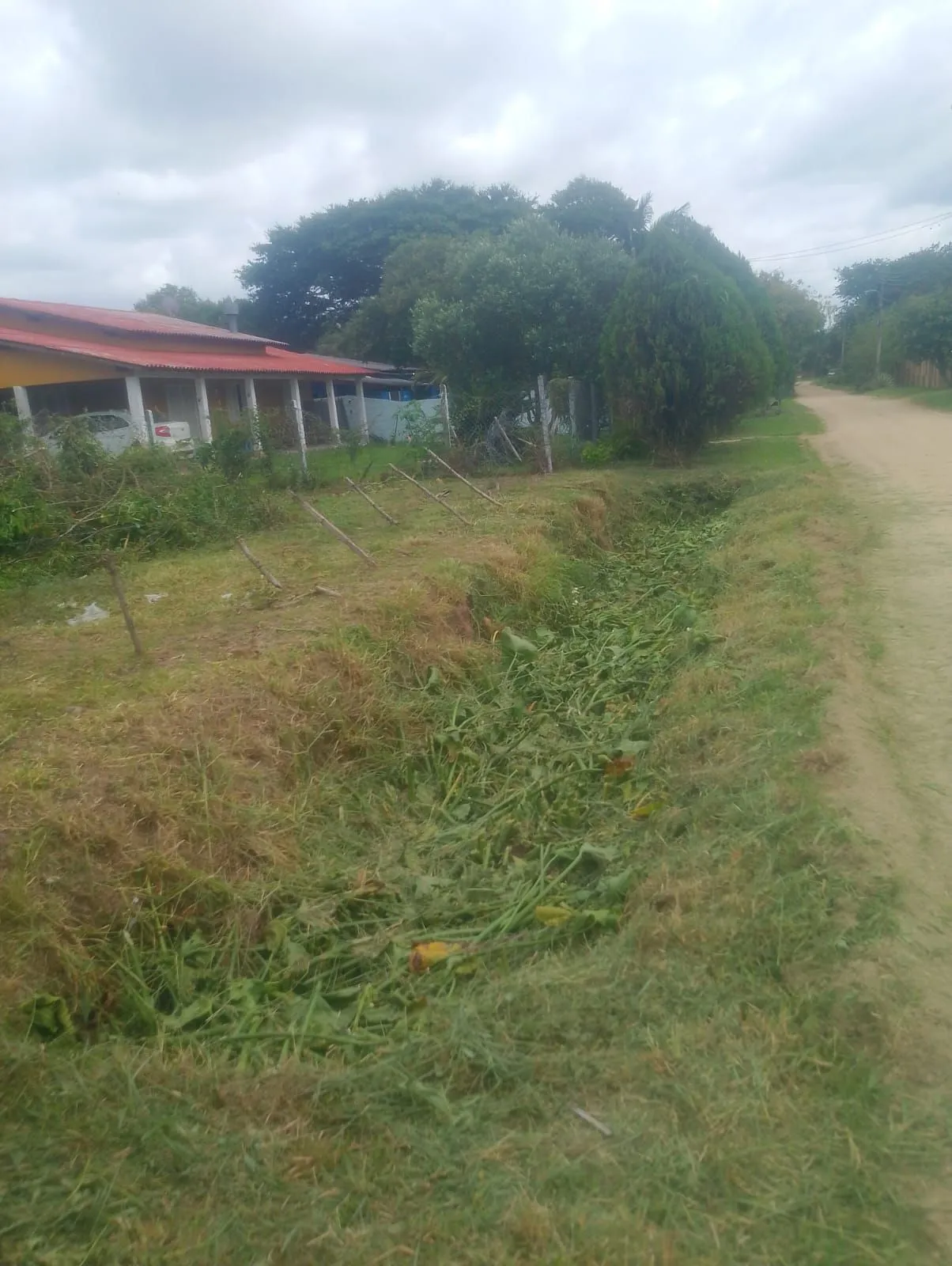 Terreno, 1001 m² - Foto 6