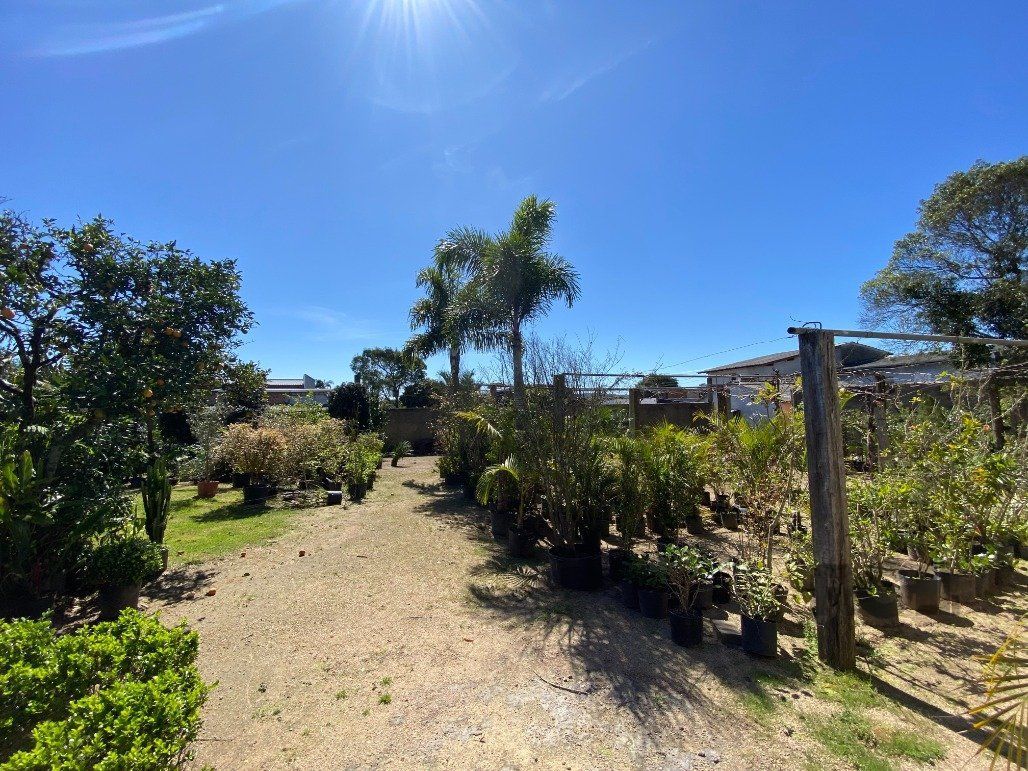 Depósito-Galpão-Armazém à venda - Foto 29