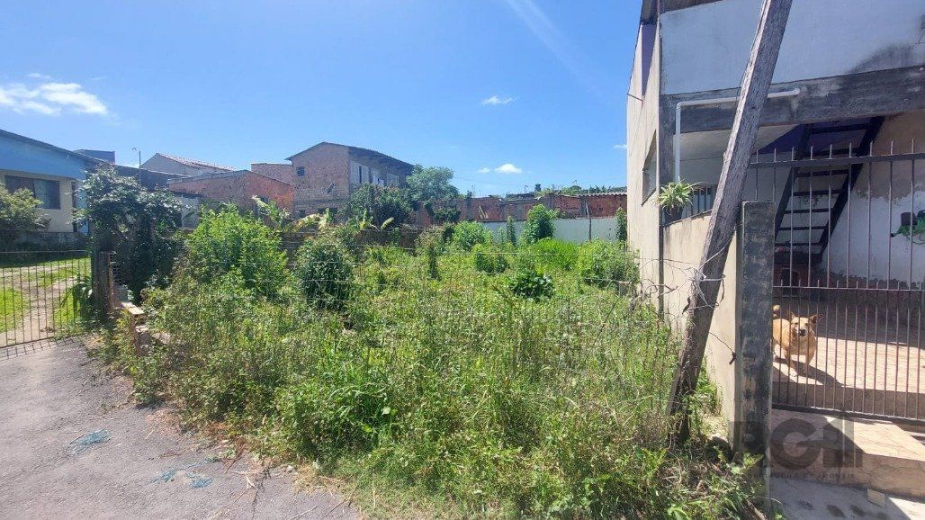 Terreno Bairro Campo Novo