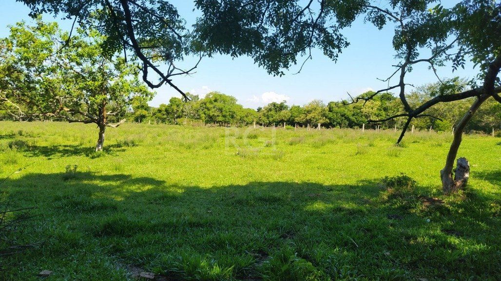Sítio à venda com 3 quartos, 160m² - Foto 15