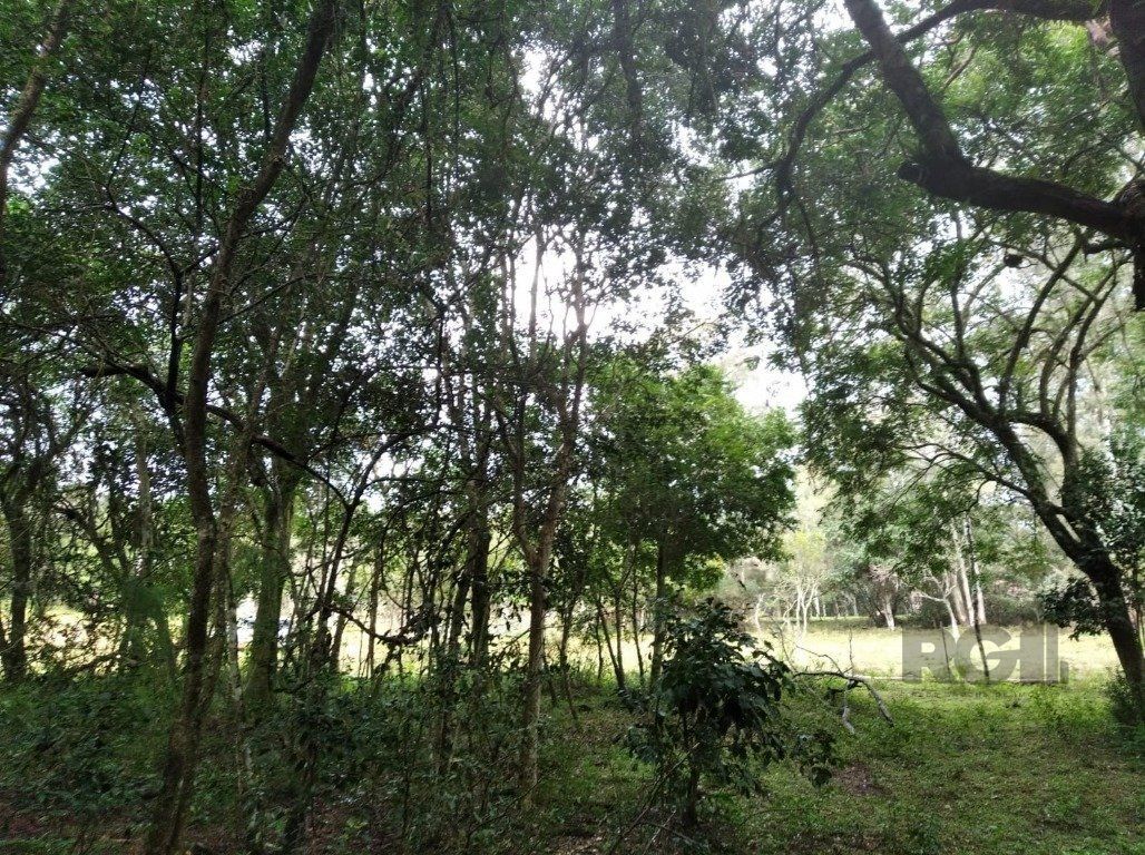 Terreno à venda, 2500m² - Foto 2