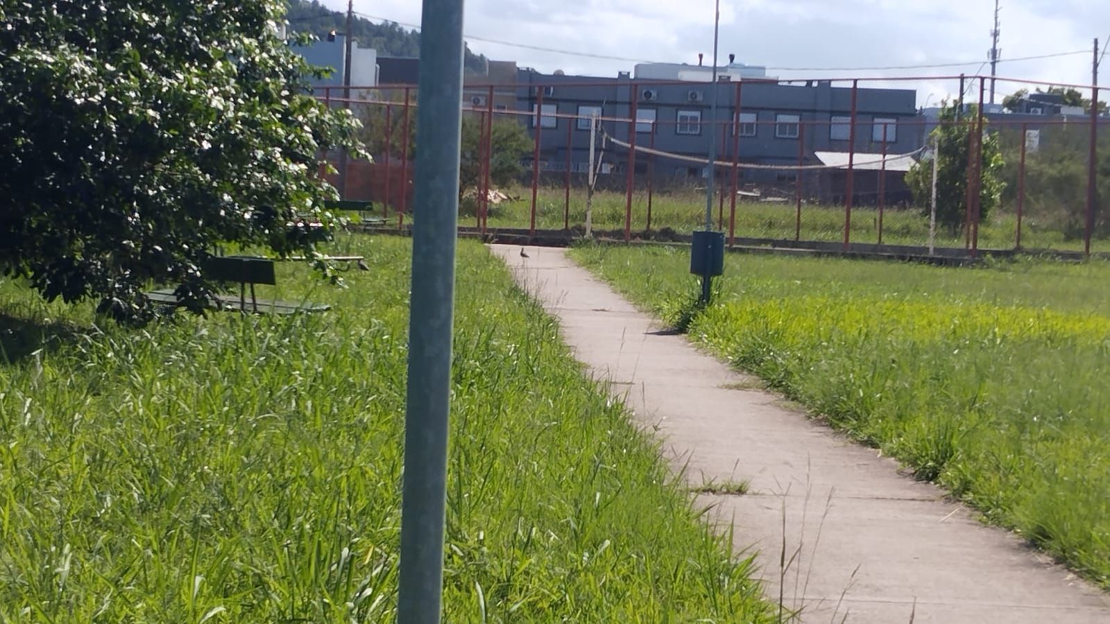 Terreno, 149 m² - Foto 4