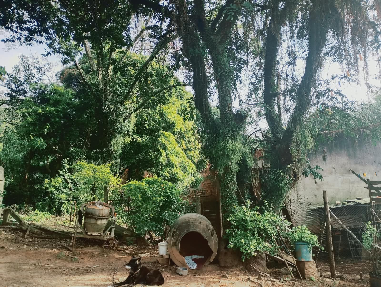 Terreno, à venda, Campo Novo - Porto Alegre — foto 3