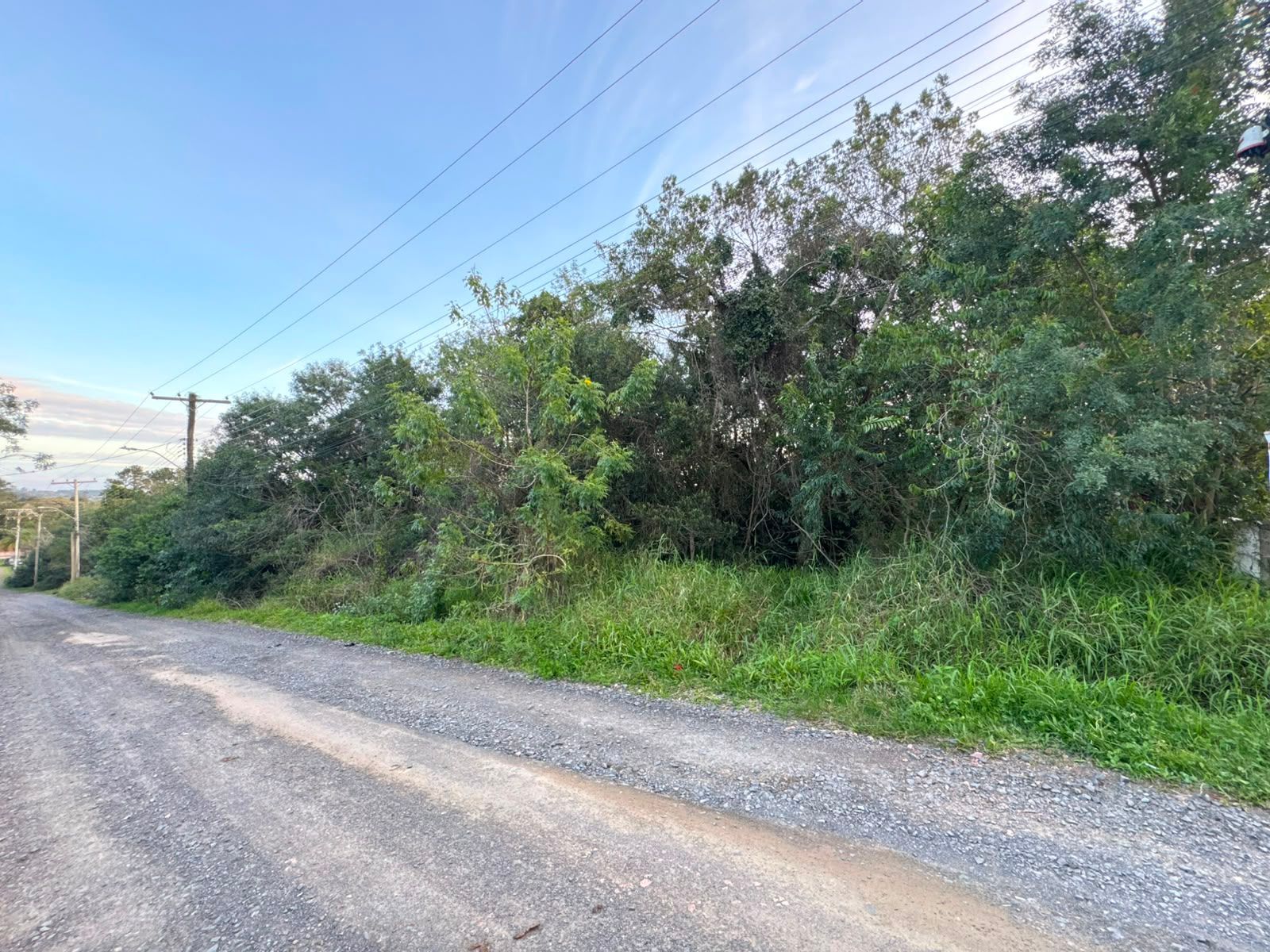 Terreno, à venda, Lageado - Porto Alegre — foto 2
