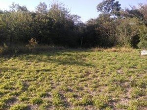 Terreno, 800 m² - Foto 1
