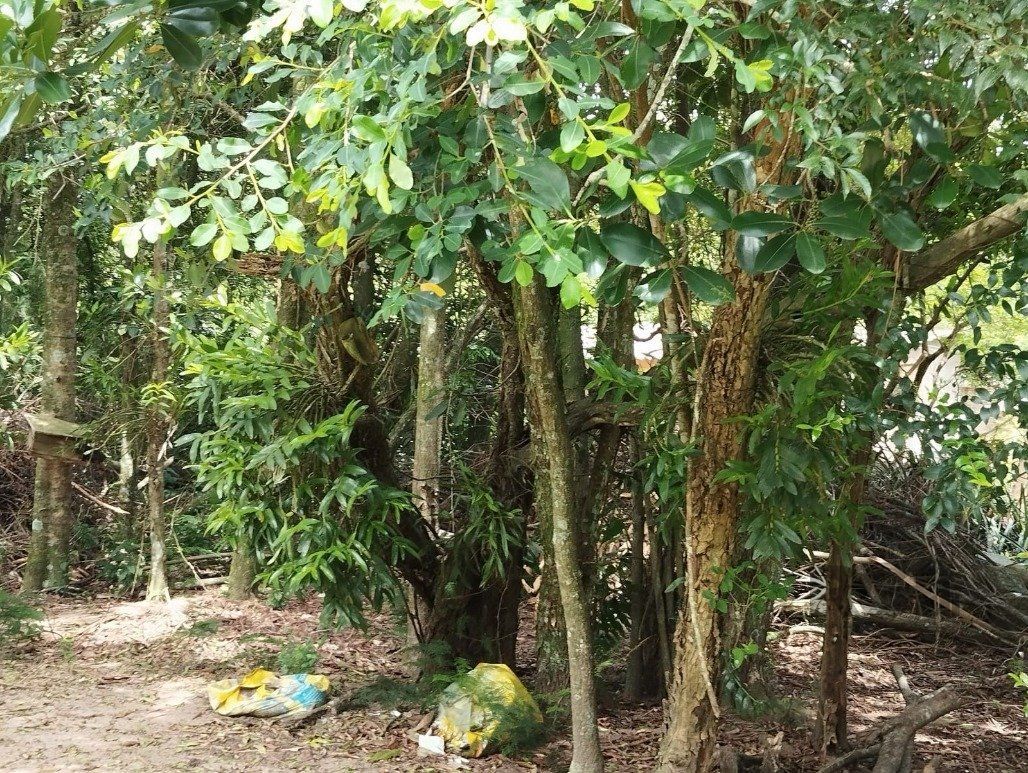 Casa à venda com 3 quartos, 360m² - Foto 30