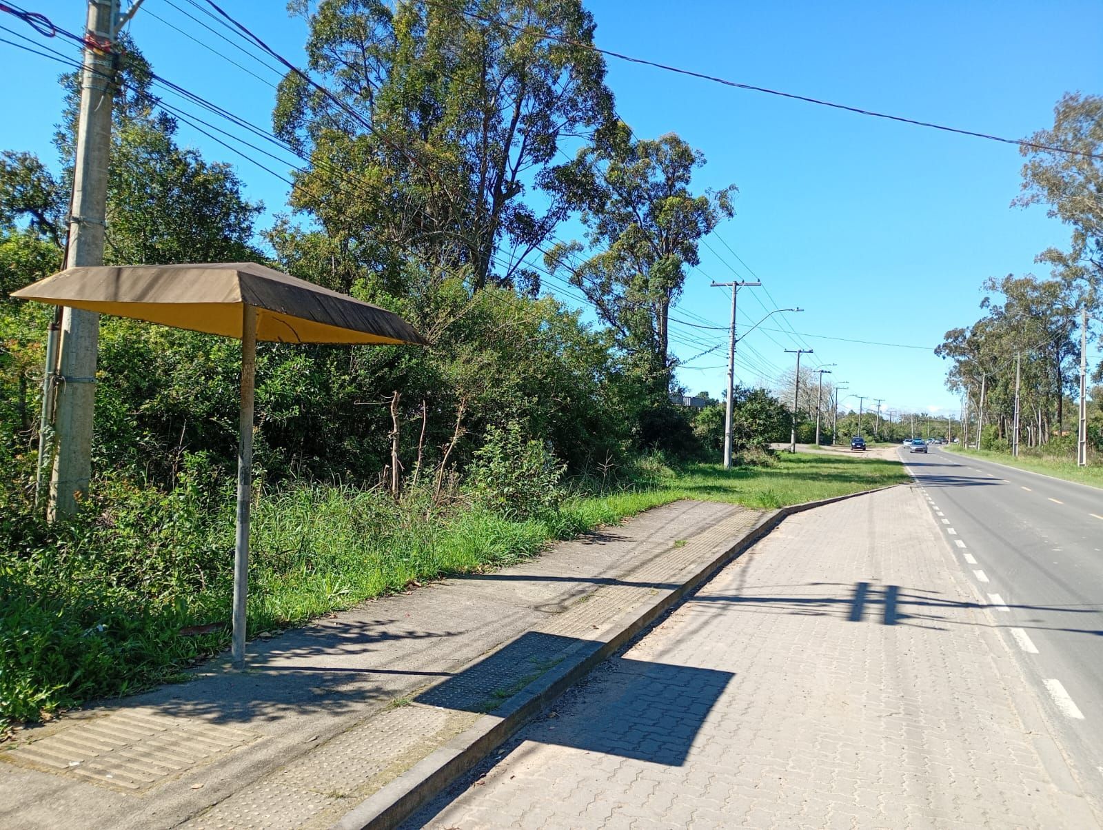 Terreno, à venda, São Caetano - Porto Alegre — foto 3