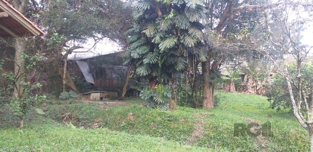 Chácara, 3 quartos, 2400 m² - Foto 30