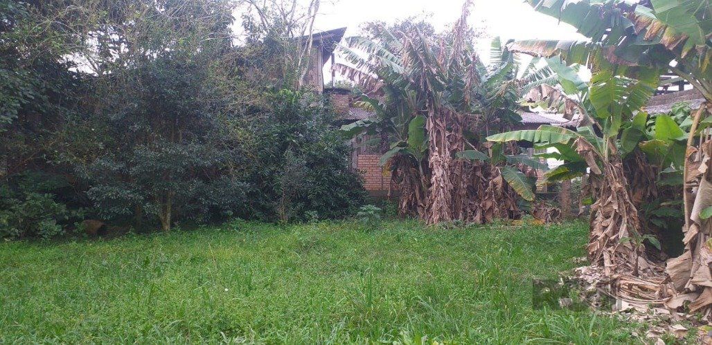 Chácara, 3 quartos, 2400 m² - Foto 17