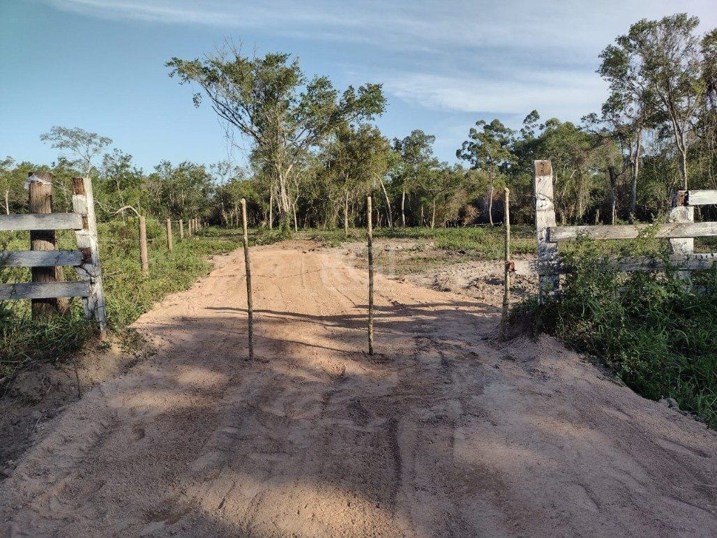 Terreno, 1 hectares - Foto 1