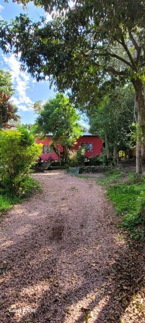 Casa, 2 quartos, 845 m² - Foto 5