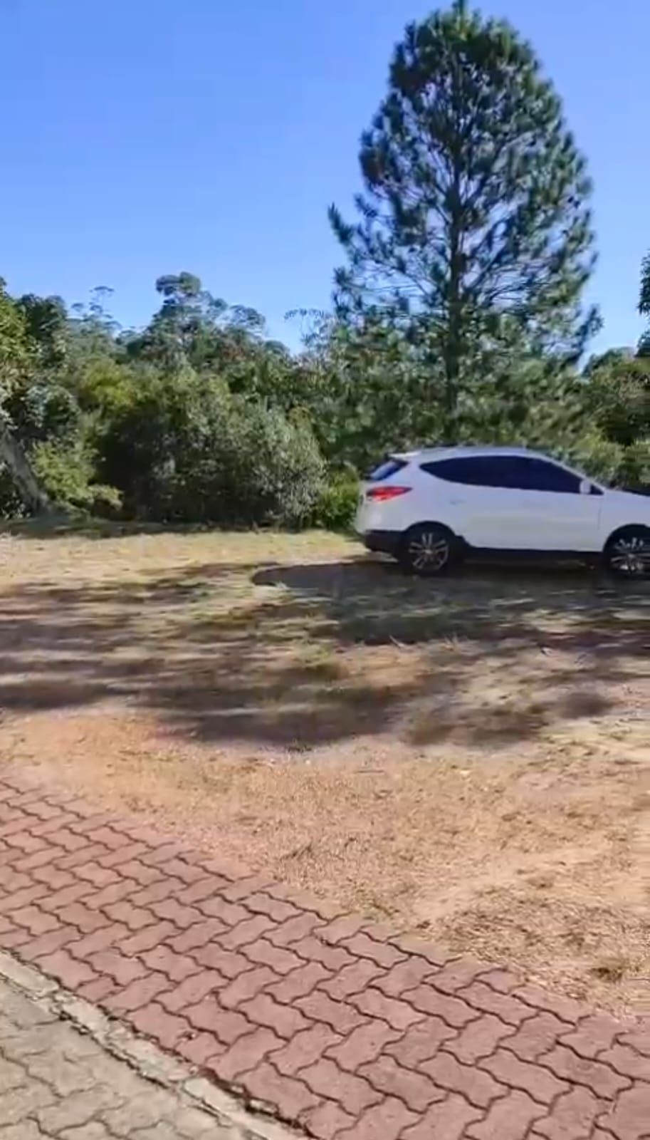 Terreno, 300 m² - Foto 6