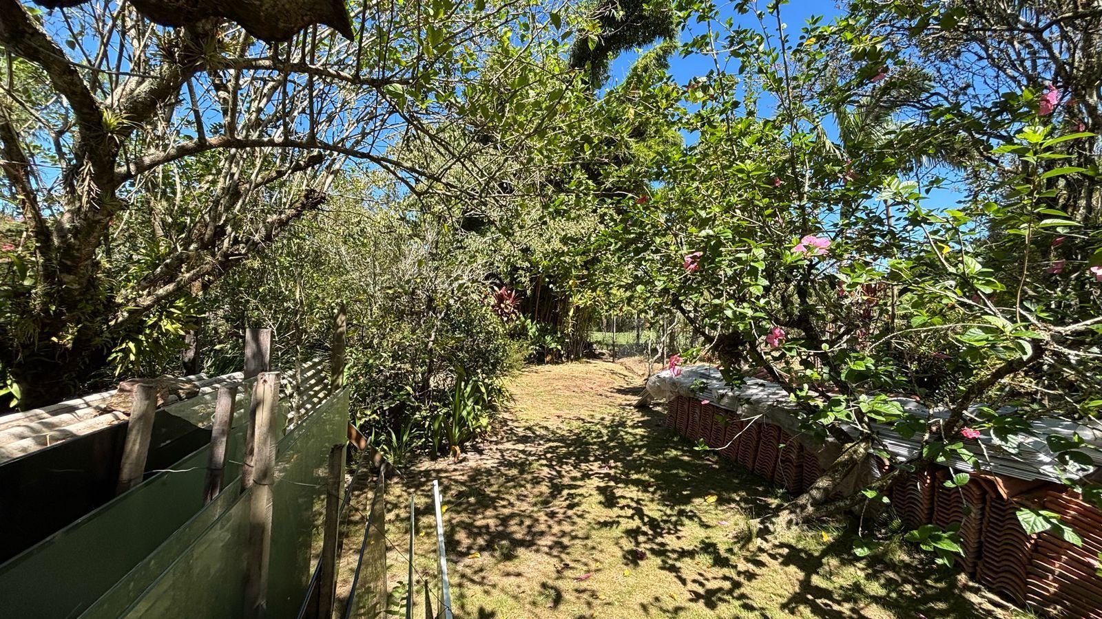 Chácara, 5 quartos, 1798 m² - Foto 9