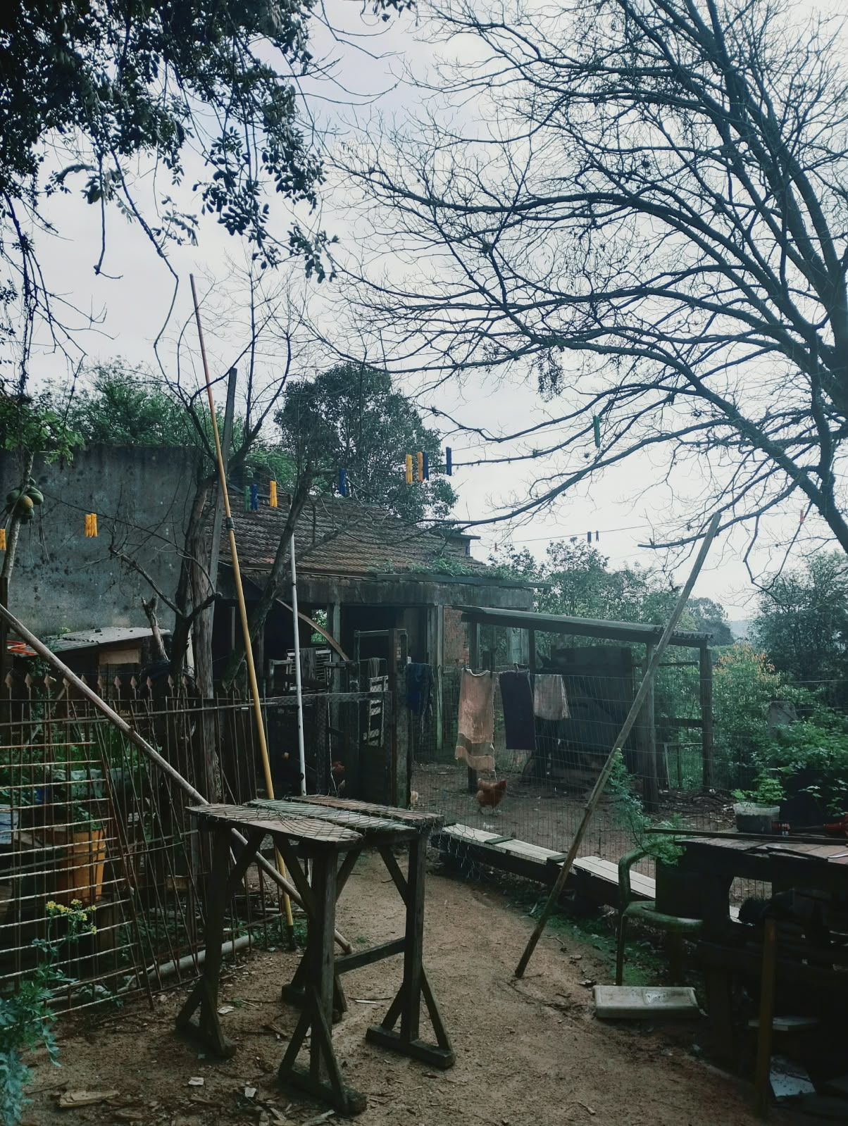 Terreno, à venda, Campo Novo - Porto Alegre — foto 4