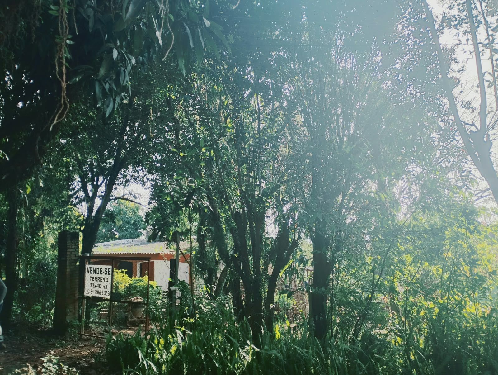 Terreno, à venda, Campo Novo - Porto Alegre — foto 5