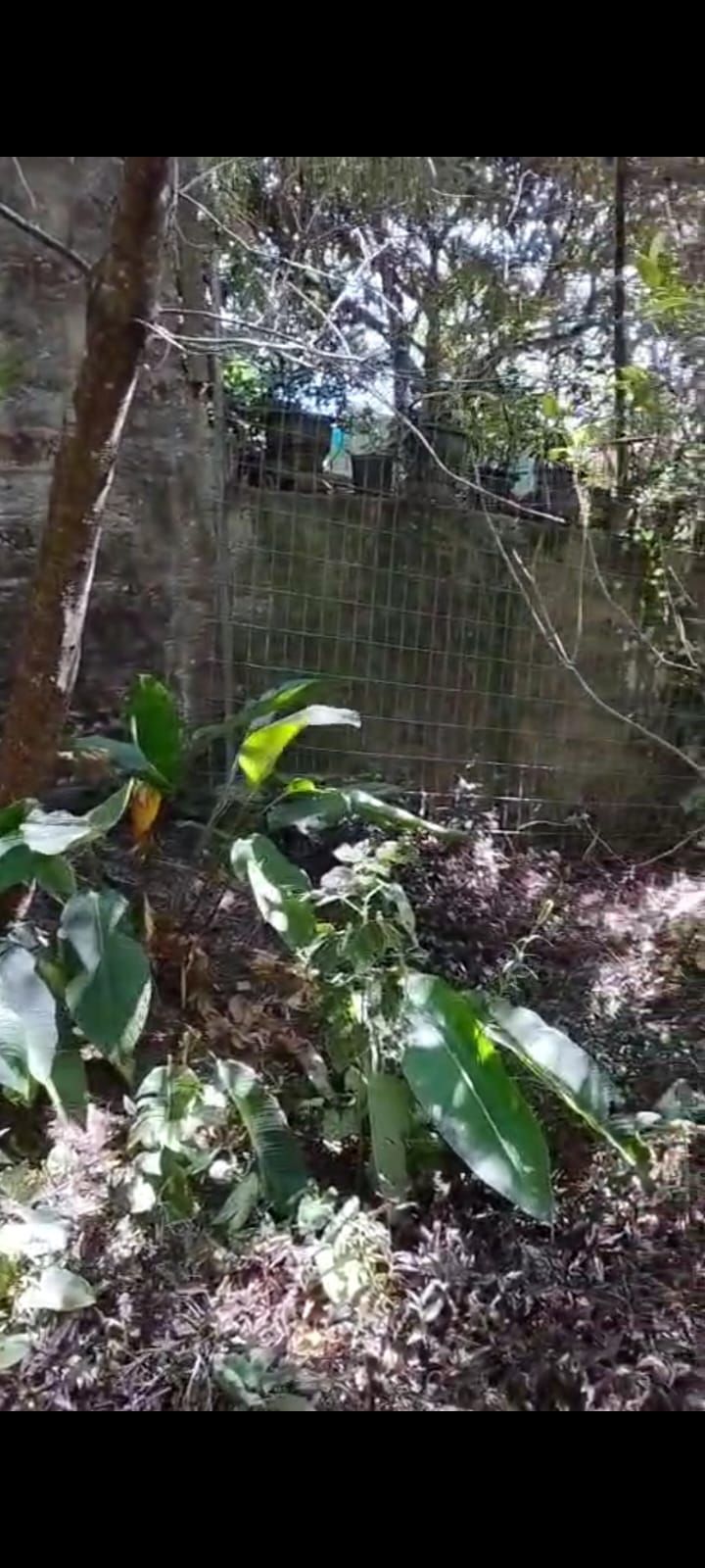Fazenda à venda, 1m² - Foto 1