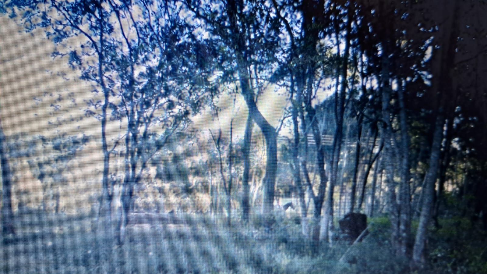 Sítio, à venda, Hípica - Porto Alegre — foto 5