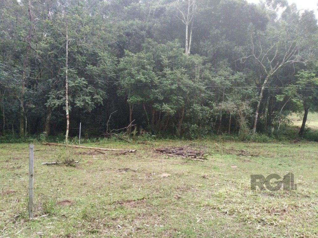 Terreno à venda, 2500m² - Foto 7