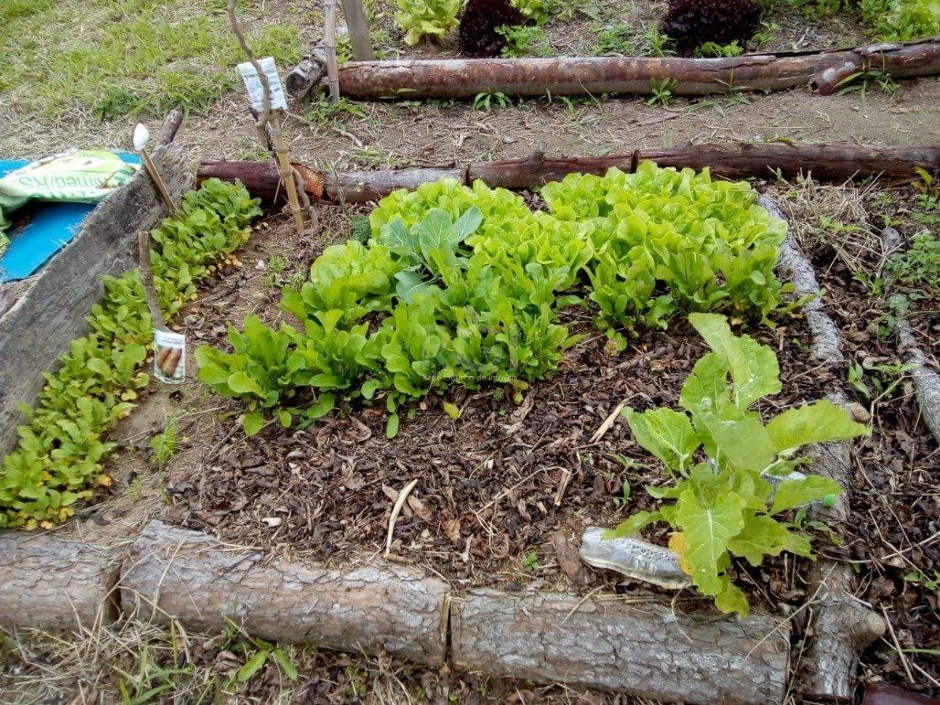 Terreno, 1440 m² - Foto 14