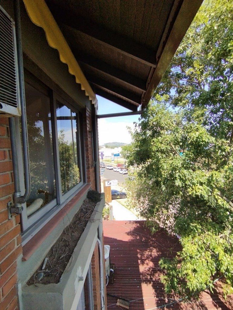 Apartamento, 3 quartos, 207 m² - Foto 9