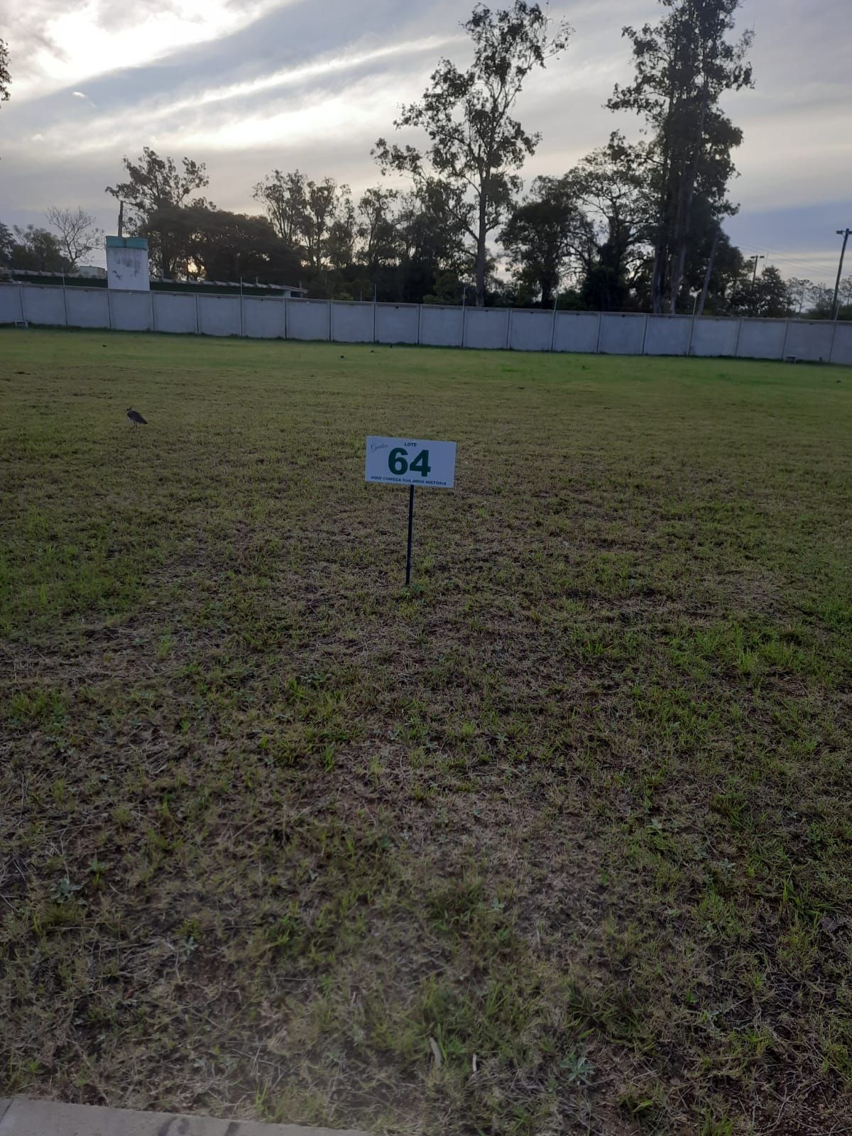 Terreno, 140 m² - Foto 9