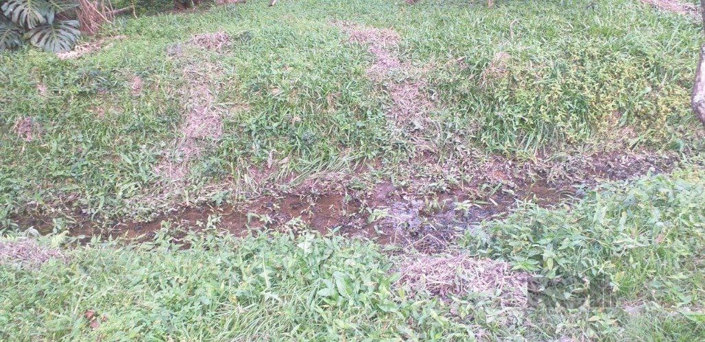 Chácara, 3 quartos, 2400 m² - Foto 29