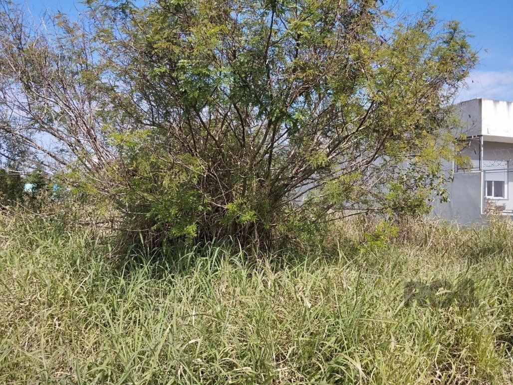 Terreno, 125 m² - Foto 8