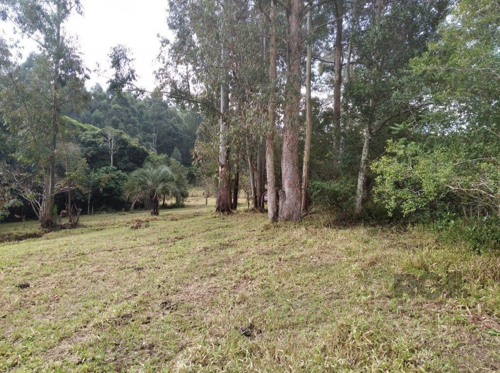 Terreno à venda, 2500m² - Foto 4