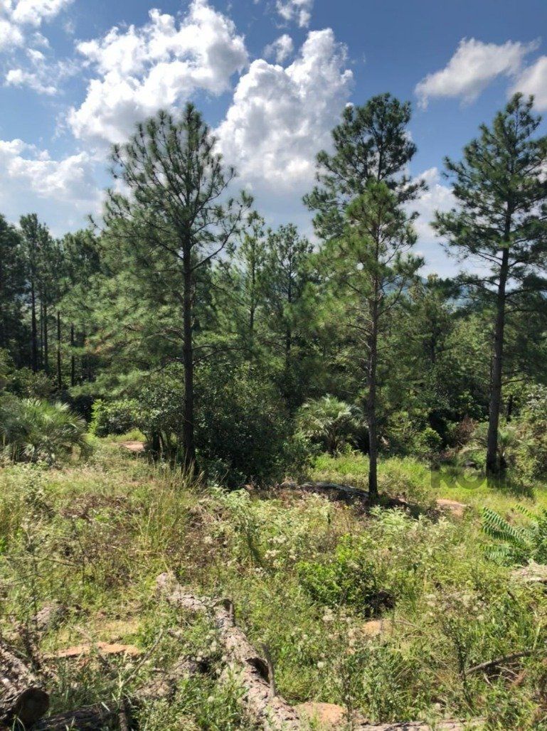 Terreno, 3400 m² - Foto 2