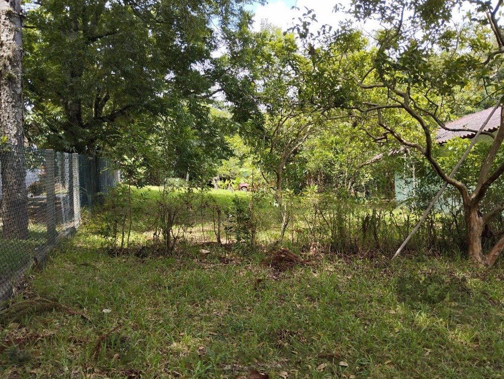 Casa à venda com 3 quartos, 360m² - Foto 29