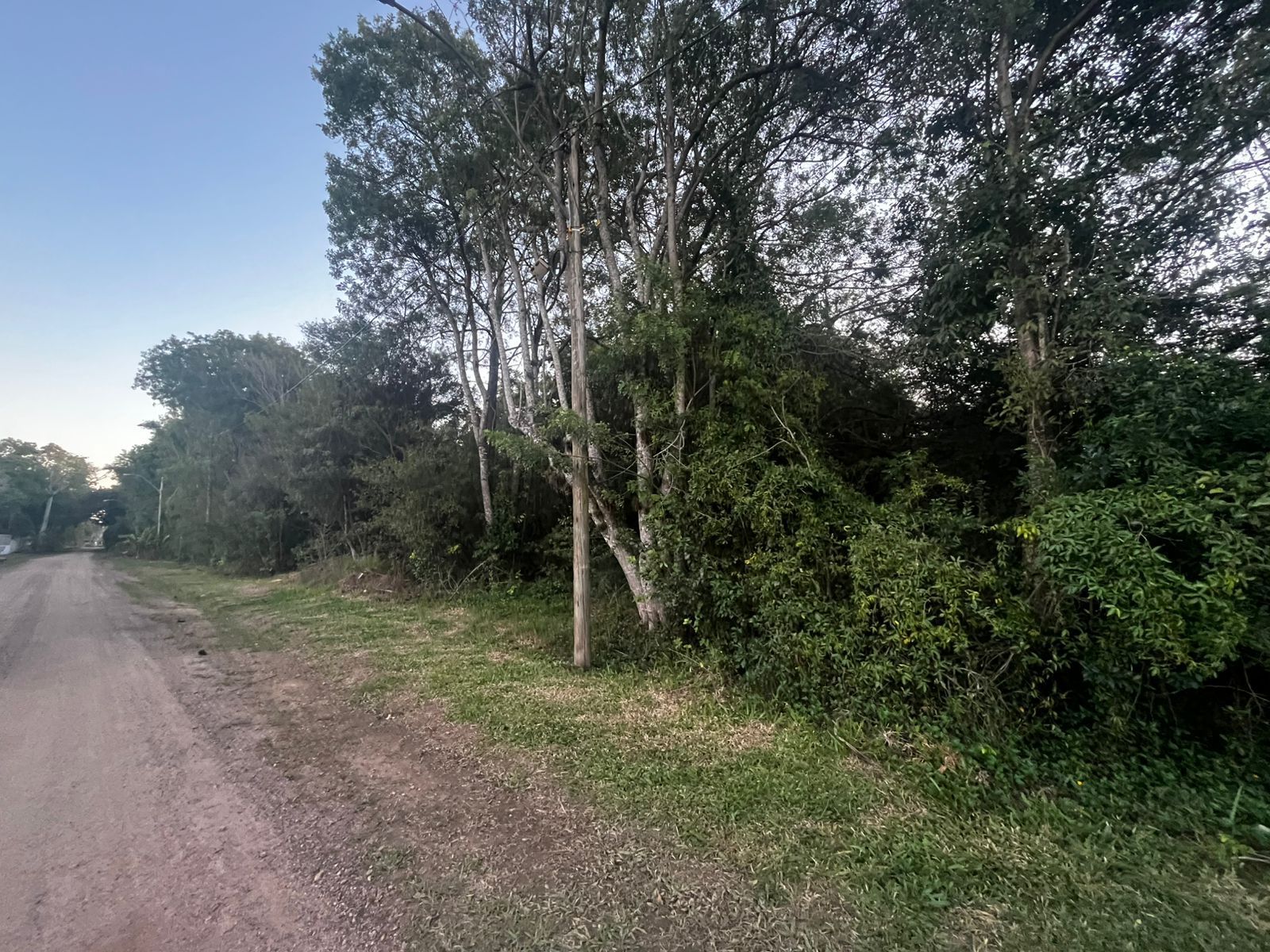 Terreno à venda, 9999m² - Foto 6