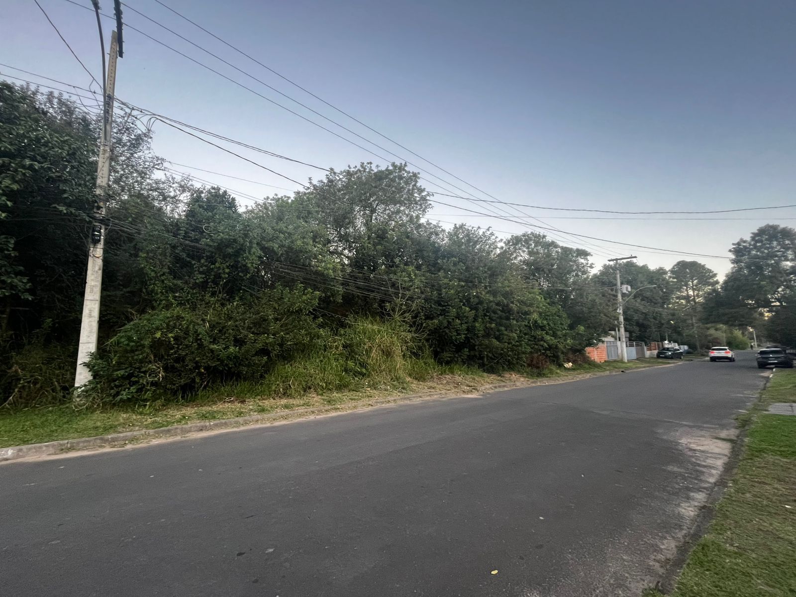 Terreno, 10000 m² - Foto 1