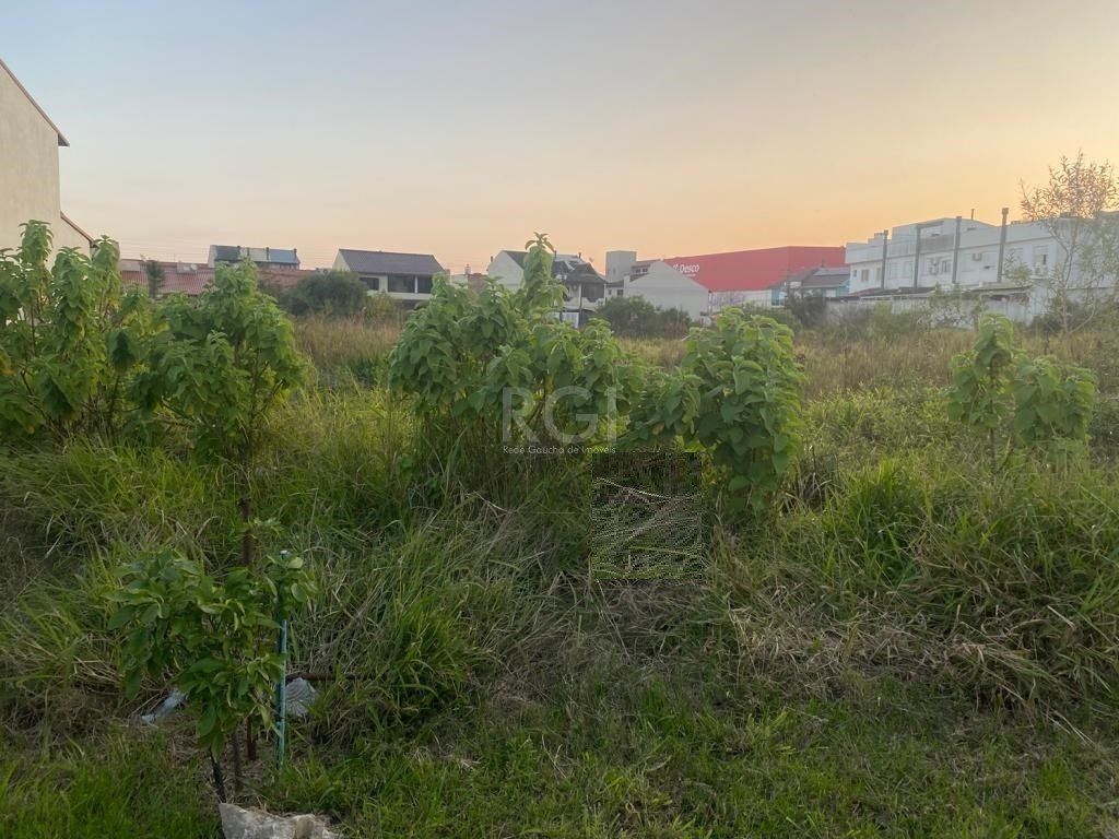 Terreno, 329 m² - Foto 5