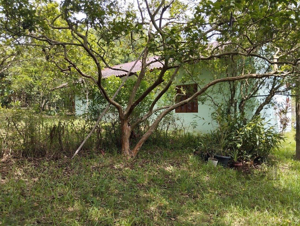 Casa à venda com 3 quartos, 360m² - Foto 33